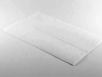 Why Do Cats Like Dryer Sheets? Vet-Reviewed Causes & Safety Precautions