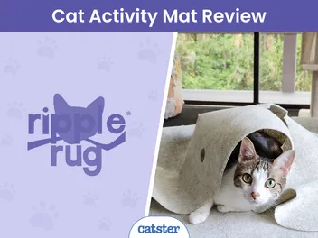 Ripple Rug for Cats Review 2026: A Detailed Look