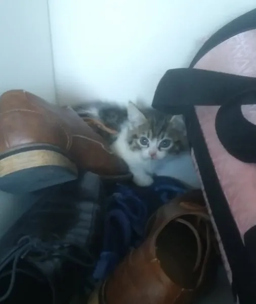 Baby Milly when I found her