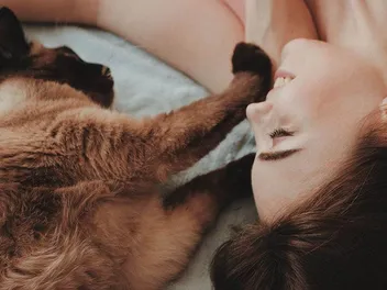 Are Cat Owners Happier than Other People? Vet-Verified Facts & FAQ