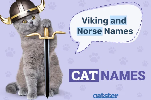 400 Viking & Norse Cat Names: Great Ideas for Strong Cats