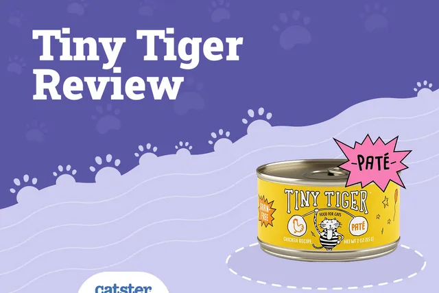 Tiny Tiger Cat Food Review of 2026: Recalls, Pros & Cons