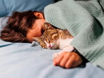 Should I Let My Cat Sleep With Me? Vet-Reviewed Pros & Cons