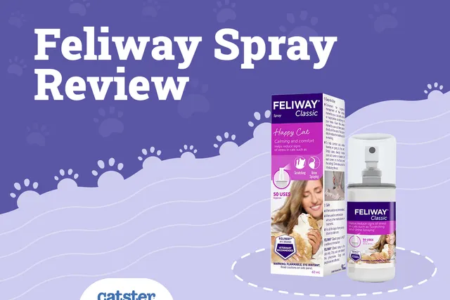 Feliway Pheromone Spray Review of 2026: Recalls, Pros & Cons