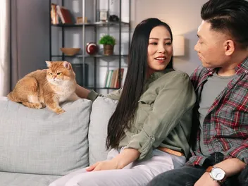 What to Do When Cats Cause Relationship Problems: Best Tips & Tricks