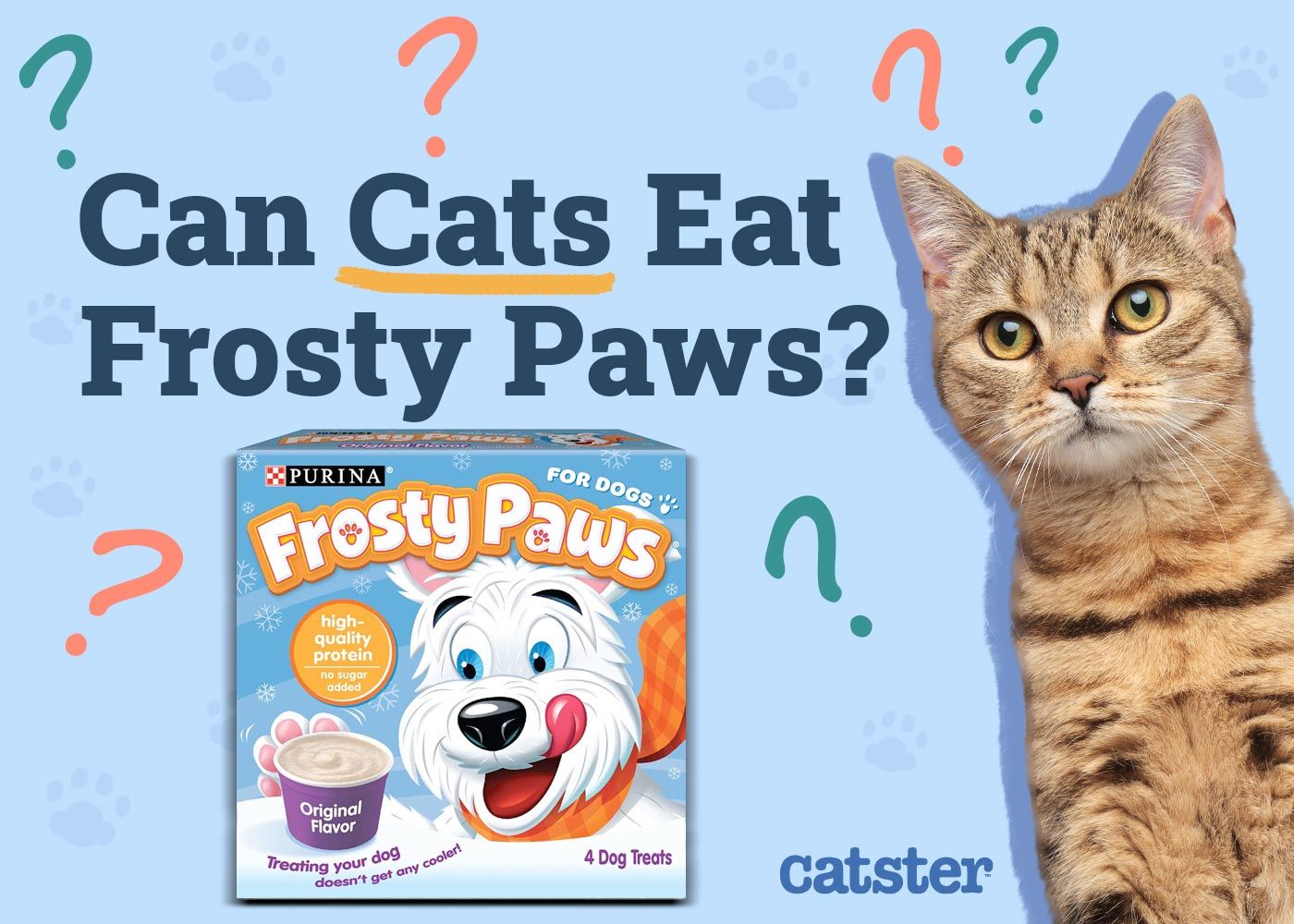 Can Cats Eat Frosty Paws