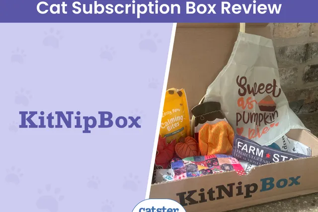 KitNipBox Cat Subscription Box Review 2026: Pros, Cons & Verdict