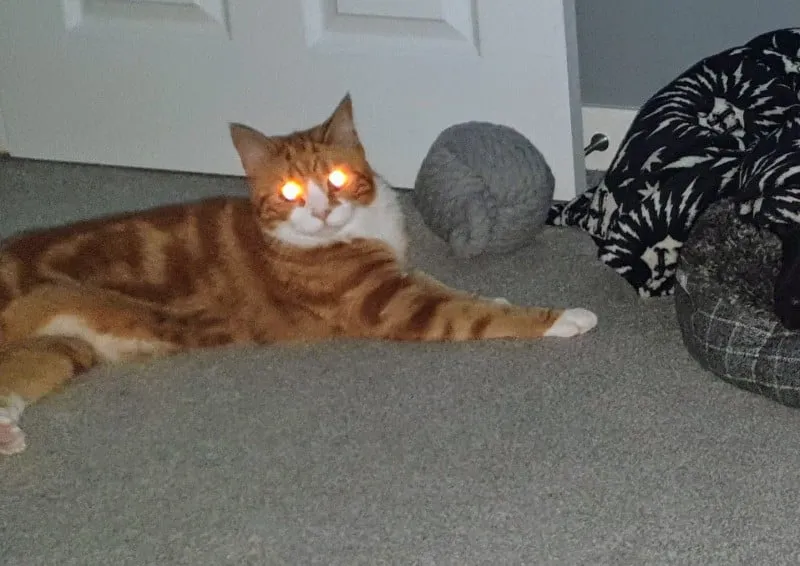 Laser eyes Alex