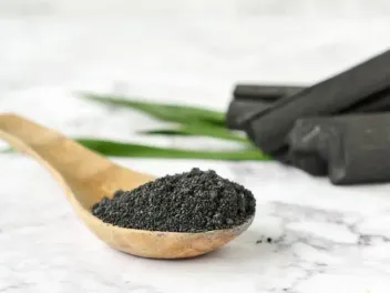 Activated Charcoal for Cats: Our Vet Discusses Benefits and Risks