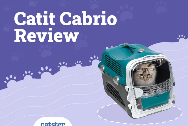 Catit Cabrio Carrier 2026 Review: Pros, Cons & Verdict