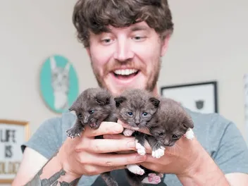 How Musician Cat Man, Adam Myatt is Saving Feline Lives