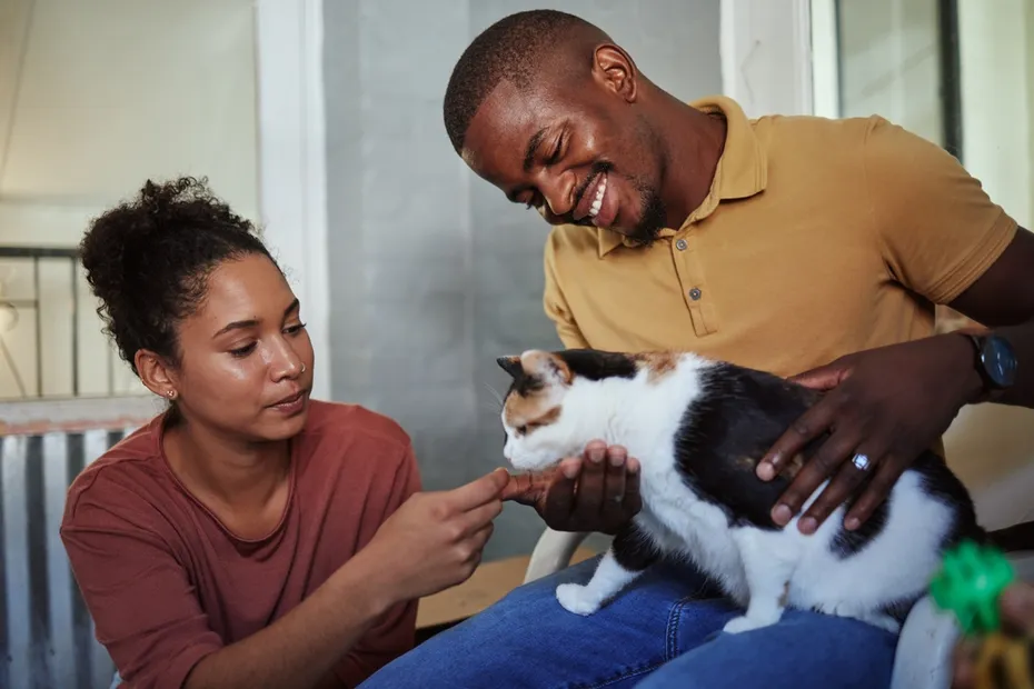 couple playing with their cat at home
