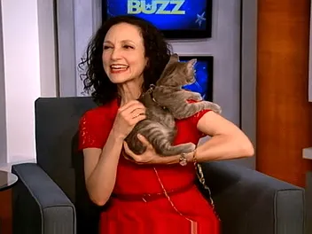 Bebe Neuwirth Talks About Her Love of Cats and Animal Rescue