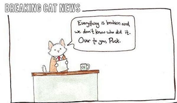 Here's Your New Feline Comic Reporting Service -- It's Called "Breaking Cat News"