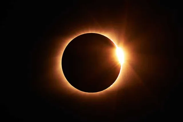 Will the Solar Eclipse Affect Your Cat? Interesting Facts & FAQ