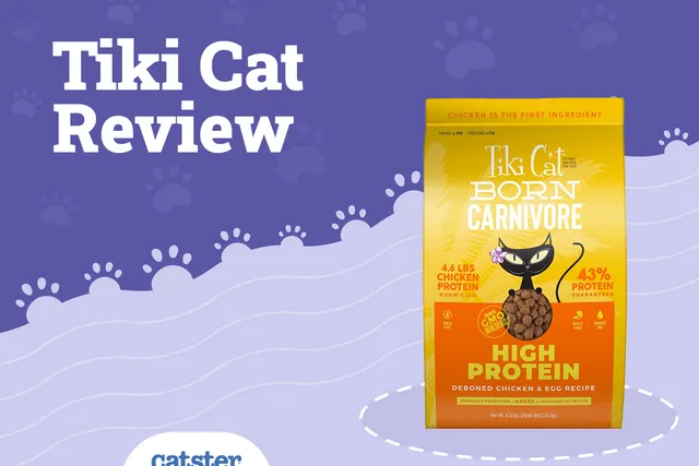 Tiki Cat - Cat Food Review of 2026: Recalls, Pros & Cons