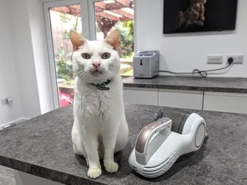 Clutch and the Vacuum: A Love Story (With Video)