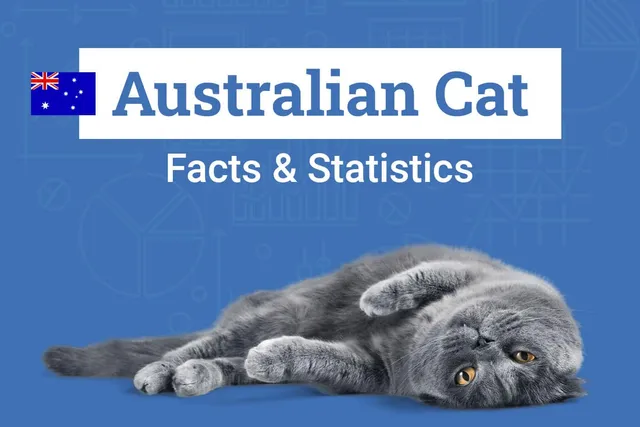 17 Australian Cat Statistics & Facts All Cat Lovers Should Know (2026 Update)