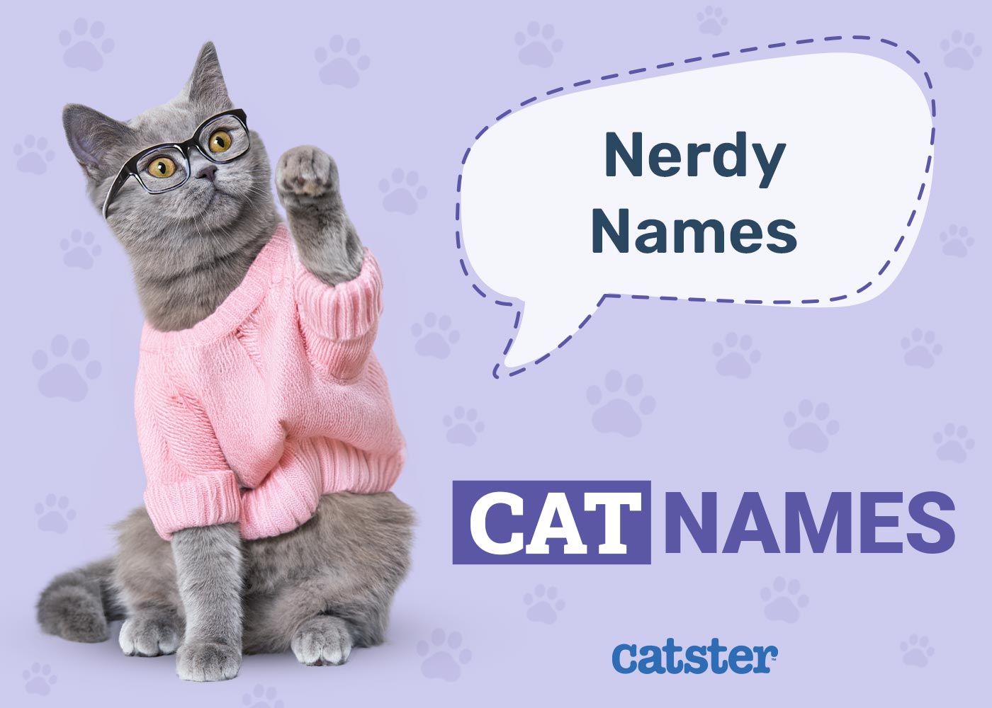 Nerdy Cat Names