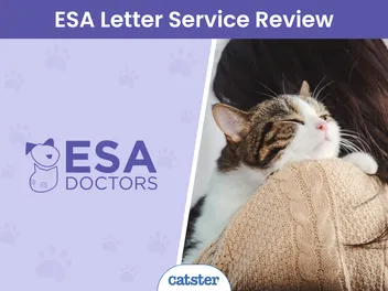 ESA Doctors Review 2026: An Easier Way to Get a Legitimate Emotional Support Animal Letter