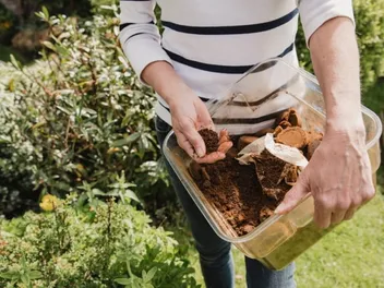 Do Coffee Grounds Keep Cats Away? Vet-Reviewed Facts & FAQ