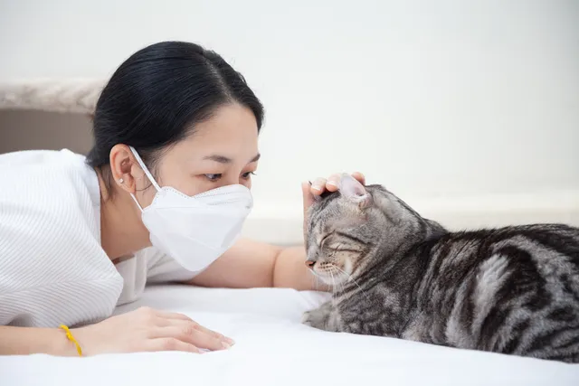 Living With Cats When You're Immunocompromised: Our Vet Explains the Risks, Options, & Provides Tips