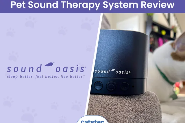 Sound Oasis Pet Sound Therapy System Review 2026: Effective Pet Calming Solution