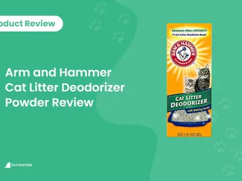 Arm & Hammer Cat Litter Deodorizer Powder 2026 Review: Pros, Cons & FAQ