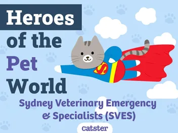 Sydney Veterinary Emergency & Specialists | Heroes of The Pet World