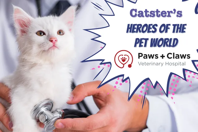 Heroes of the Pet World: Paws and Claws Veterinary Hospital