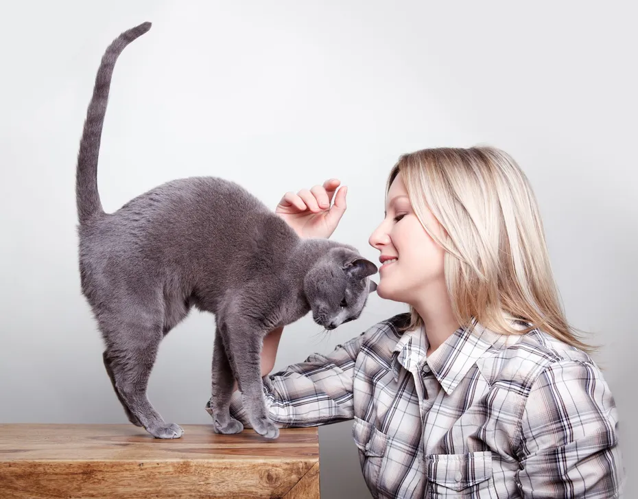 Blone Woman with Russian Blue Cat showing her affection