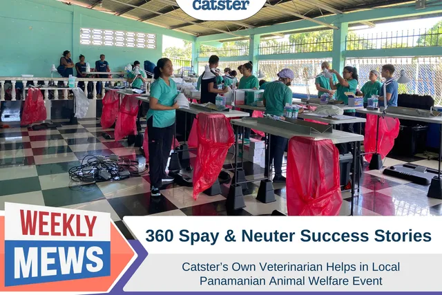 360 Spay Neuter Success Story: Dr. Paola Helps in Panama