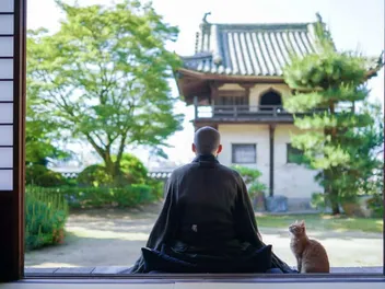 Yanaka, the Aptly Named "Cat Town" of Tokyo