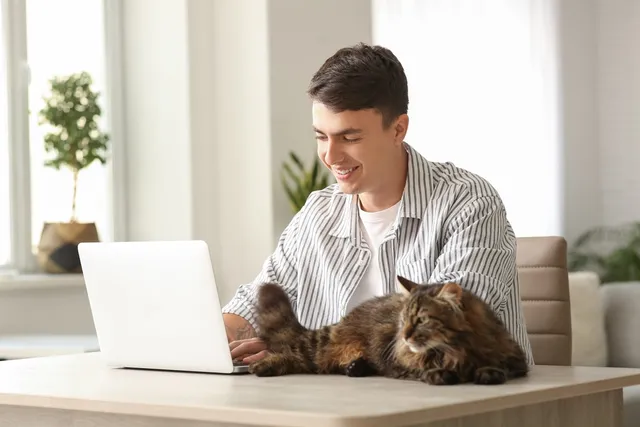 Why Does My Cat Sit and Sleep on My Desk? 8 Possible Reasons