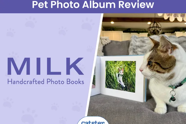 MILK Books Pet Photo Album Review 2026: High-Quality Keepsakes Of Companions