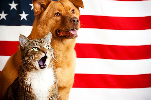 A One-Day Event Trains Animal Lovers to Give Pets Political Voice