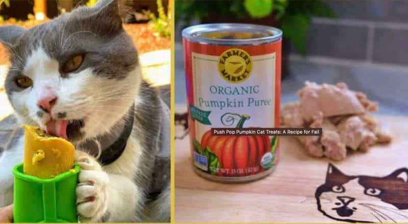 Push Pop Pumpkin Cat Treats_ A Recipe for Fall