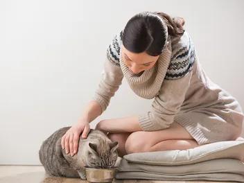 Why Does My Cat Want Me to Watch Her Eat? Vet-Verified Facts & Info