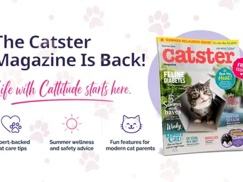 The Catster Magazine is Officially Back!