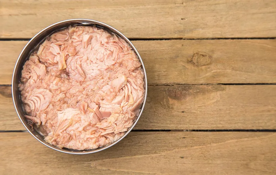 Tuna & Cornmeal