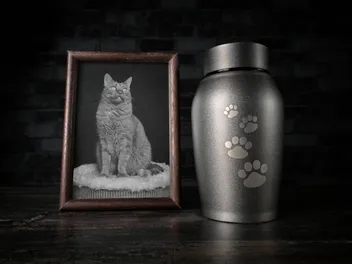 10 Thoughtful Ways to Memorialize Your Cat