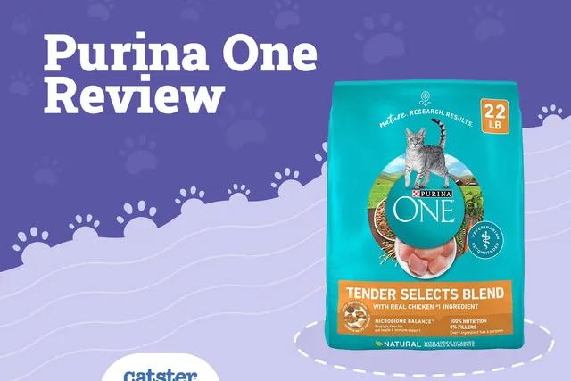 Purina ONE Cat Food Review of 2026: Recalls, Pros & Cons