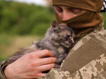 Help for Soldiers’ Pets: Guardian Angels & Other Pawesome Organizations