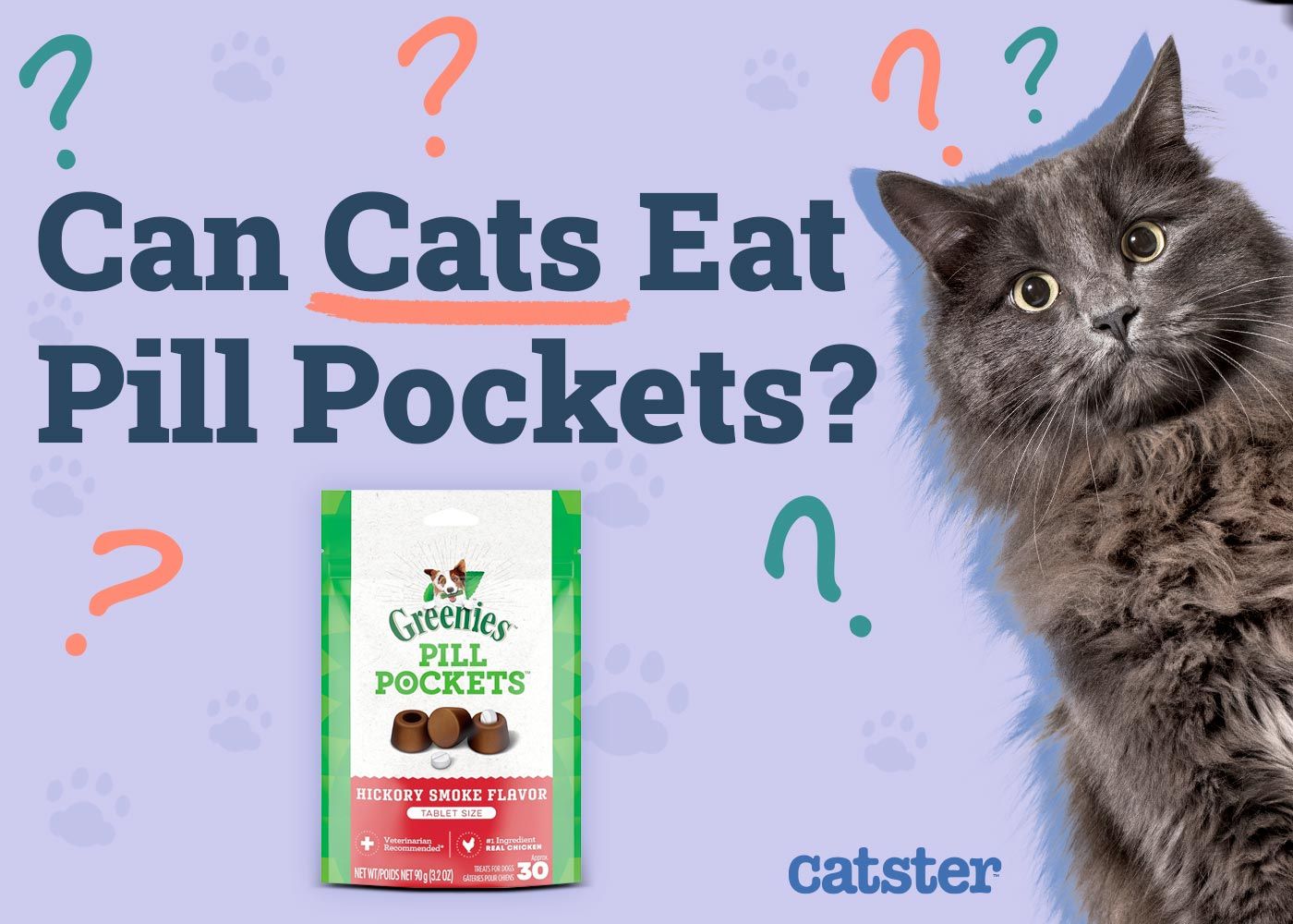 Can Cats Eat Dog Pill Pockets
