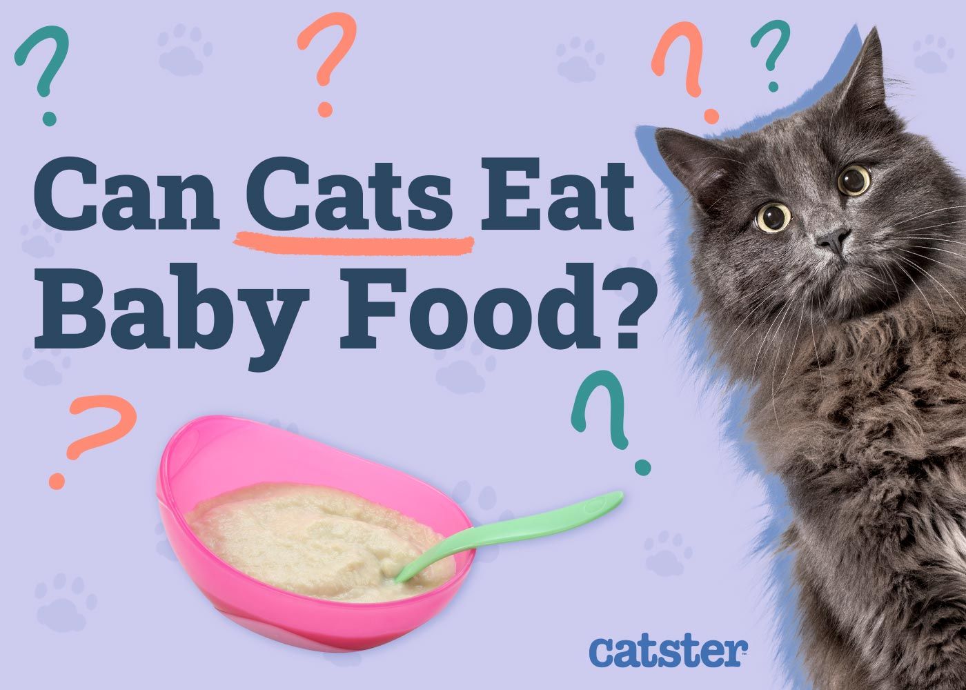 Can Cats Eat Baby Food
