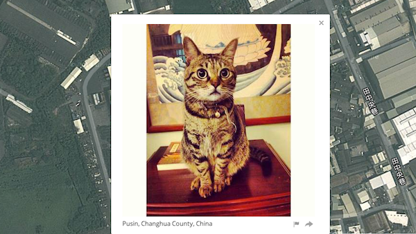 We Chat With Owen Mundy About His Controversial Site, "I Know Where Your Cat Lives"