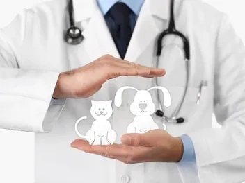 16 Pet Insurance Facts & Statistics in 2026 (Vet-Reviewed)