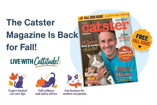 The Catster Digital Magazine: Fall 2026 Issue
