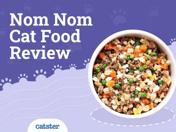 Nom Nom Cat Food Review: Recalls, Pros, Cons & Verdict