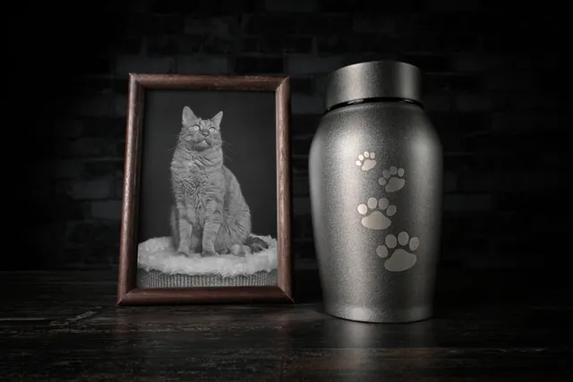 10 Thoughtful Ways to Memorialize Your Cat